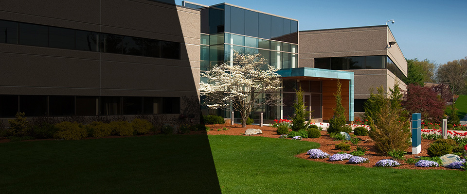 Dolgeville Landscapers