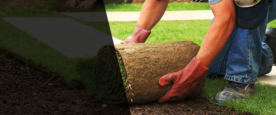 Dolgeville Landscapers